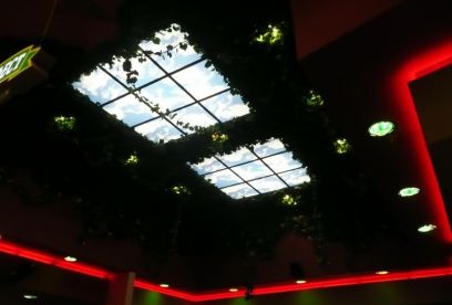 kino-rostokino/1491263402_img-0